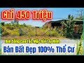 Đất Đẹp Bán Gấp Thổ Cư 100%, Kế bên đường ĐT.786 đón điểm xuống Cao Tốc TPHCM Mộc Bài Tây Ninh