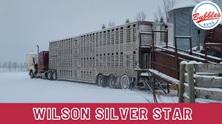 Wilson Silver Star Cattle Trailer Review #peterbilt #Kenworth by Bubbles 8V92 2,311 views 4 months ago 17 minutes