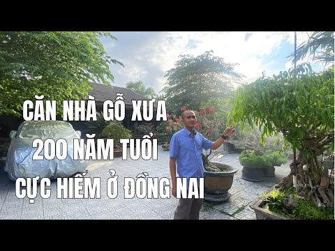 #2023 #120 Tiếc Nuối Ngậm Ngùi ĐẠI GIA 100 Tỷ Bán Gấp Căn Nhà Gỗ Hơn 200 năm tại Đồng Nai