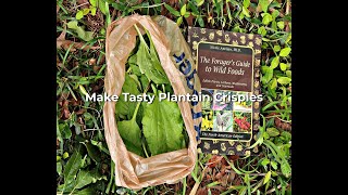 Video: Make plantain crispies with your kids for a tasty, nutritious, natural treat by Survival Common Sense 97 views 2 weeks ago 2 minutes, 39 seconds