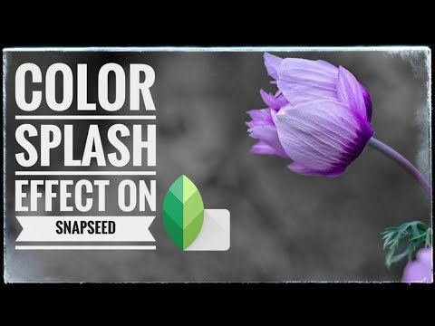 Color Splash In Snapseed