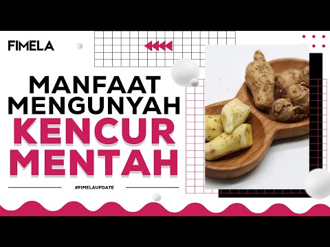 Kencur Benefits