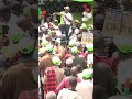 Tutamaliza nyoka anaitwa Ruto na mayai zake