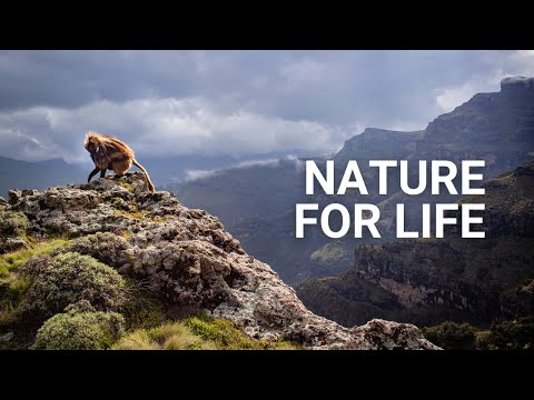 We need nature if we want to build a more prosperous world