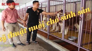 Đắk Lắk Du khách thích thú với mô hình cà phê thú cưng  Ảnh thời sự trong  nước  Văn hoá  Xã hội  Thông tấn xã Việt Nam TTXVN