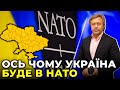Коли Україна буде в НАТО: чому альянс сам буде просити Україну вступити до союзу? / пояснює ВАСИЛЬЄВ