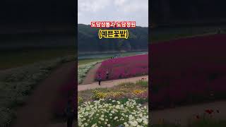 #휴앤락 #단양으로귀촌 #단양가보고싶은곳 #단양가볼만한곳 #도담삼봉#도담정원