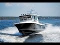 Обзор морского катера Nord Star 32 Patrol – мнения экспертов из Швеции