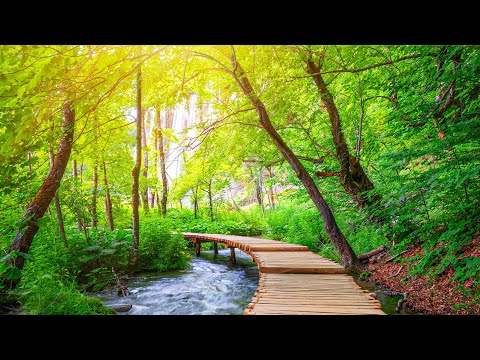 Video: 15 Cara Untuk Memulihkan Taman Belakang Ke Ke Sanctuary Menawan