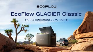 ECOFLOW GLACIER エコフロー ポータブル冷蔵庫 20230509184128_840_.jpg