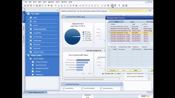 A DEMONSTRATION OF WORKFLOWS APPROVAL  AND ALERTS IN SAP BUSINESS