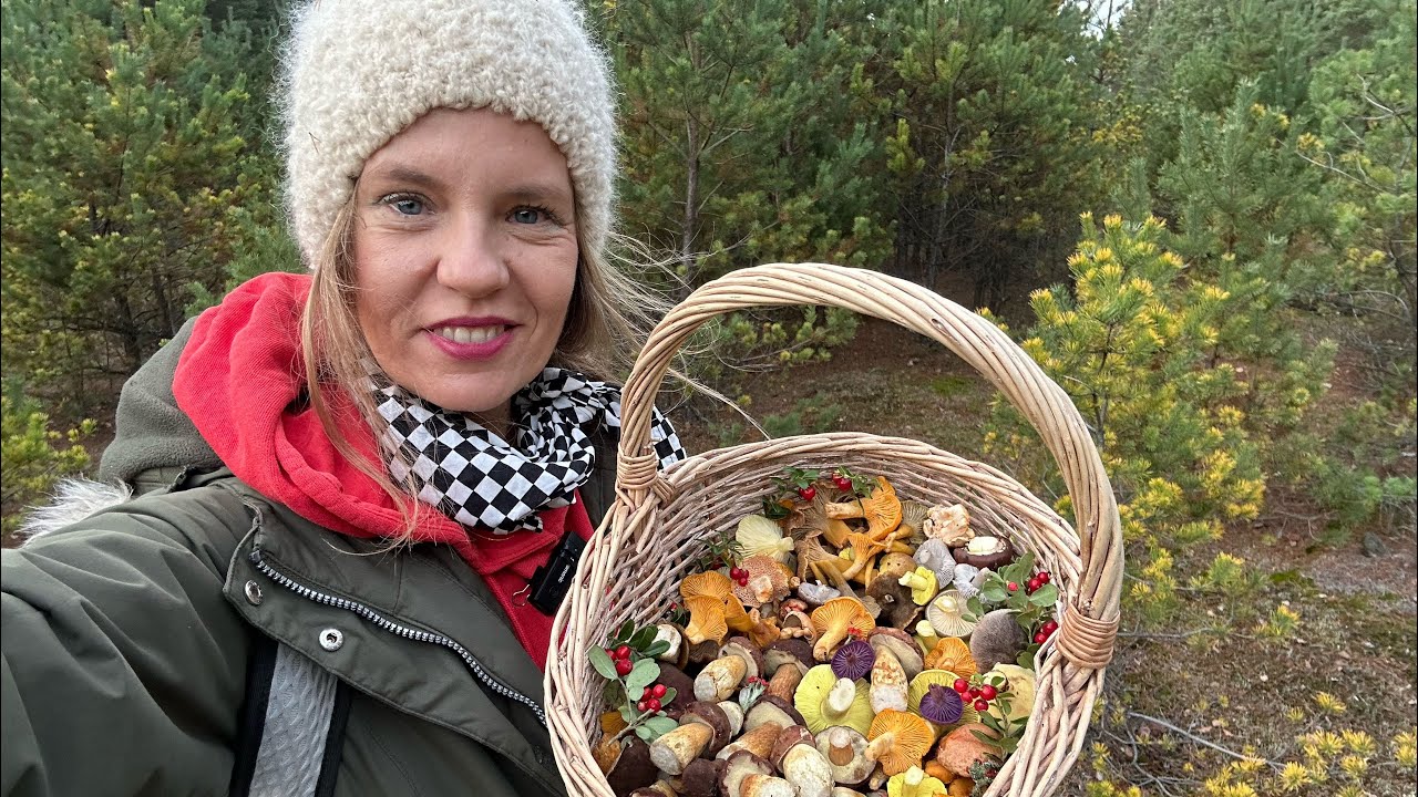 13.11.25 - Połowa listopada, w Borach Dolnośląskich grzybowo:)