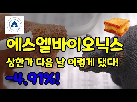 에스엘바이오닉스 상한가 찍고 다음 날 이렇게 됐다 방구석 맨보사 예측 대실패 뒷북을 그냥 두둥 탁 