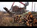 The fastest wood loading unloading I had ever seen with VOLVO FH16 650 timbertruck