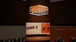 Dusky Electronics Proxima A