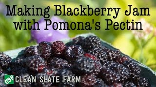 Making blackberry jam with Pomona's Pectin