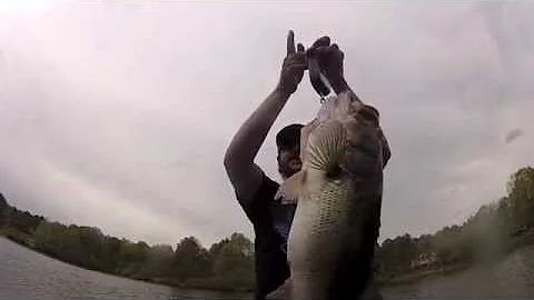 Winning fish from Swimbait Underground Tournament ...
