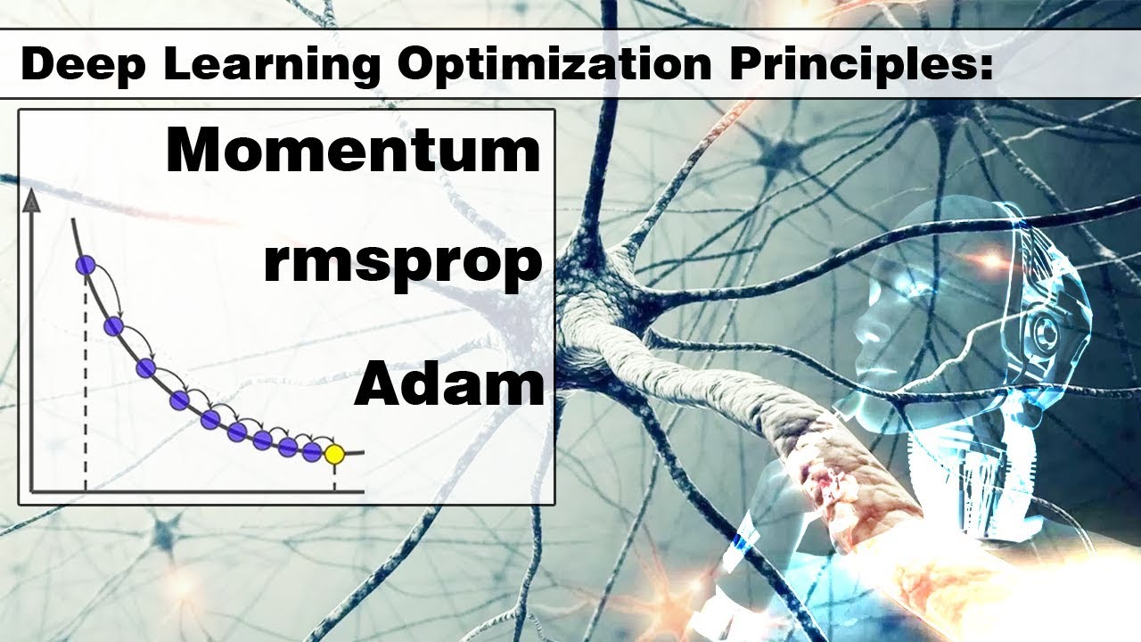 Adam. Rmsprop. Momentum. Optimization Algorithm. - Principles in Deep Learning