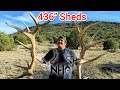 finding 430" elk sheds on the San Csrlos