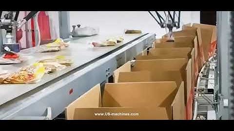 Parallel robot hand picking up bags and feeding to carton box cartoning system
