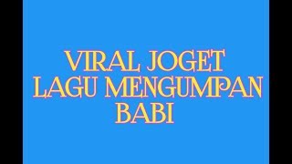 Viral joget hari hari mengumpan babi