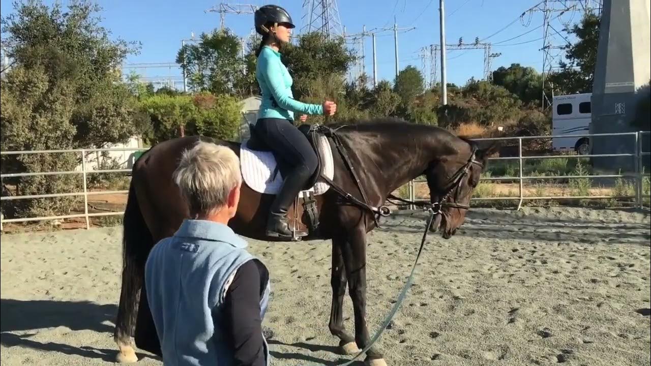 Part 6 Rider Biomechanics Lunging Exercises for Posting Trot YouTube