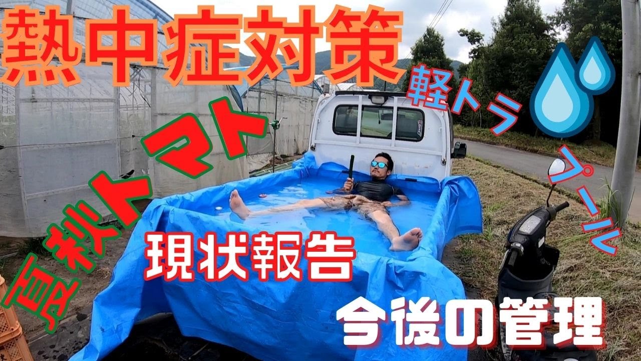 【熱中症対策】この時期ビニールハウス内作業は危険なので熱中症対策教えてみました