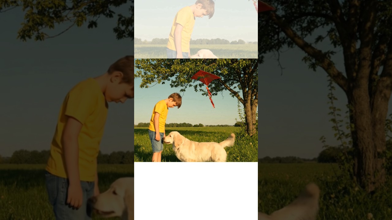 Brave Puppy Saves the Day!