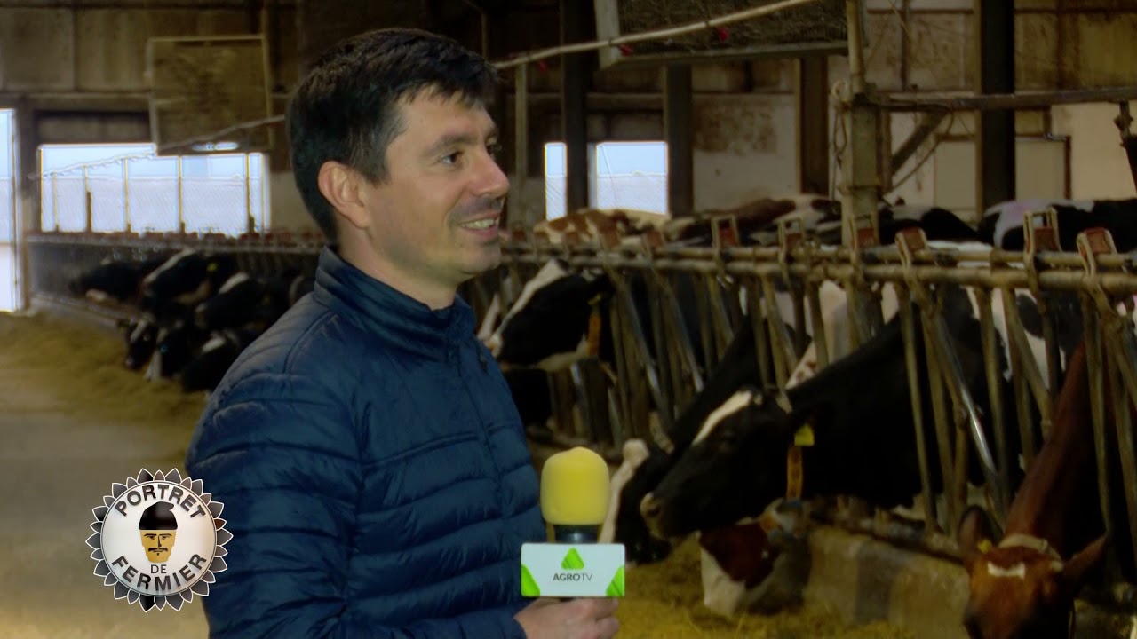 VIDEO O fermă MODEL, unde fiecare vacă produce 30 de litri de lapte pe zi 1 VIDEO O fermă MODEL, unde fiecare vacă produce 30 de litri de lapte pe zi YouTube player