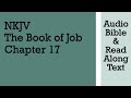 Job 17  nkjv  audio bible  text