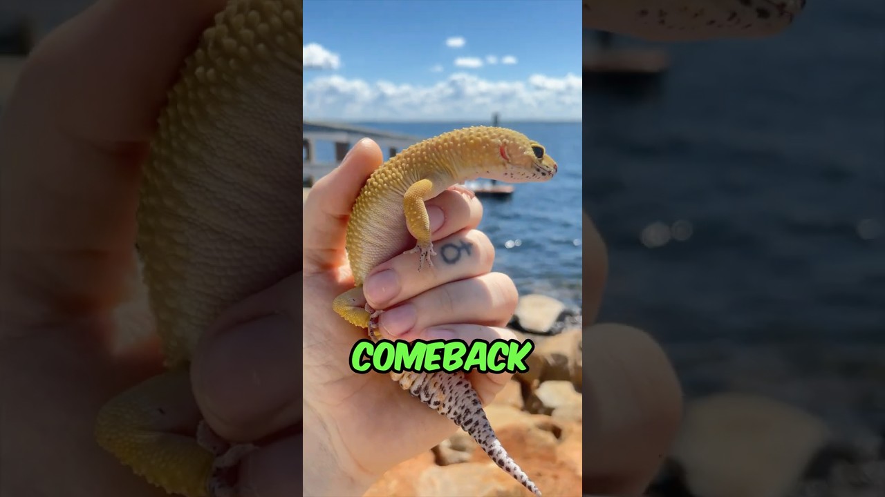 From the Edge of Death to THIS? 🦎