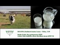 Diskusia o mliečnej kríze v rádiu Lumen