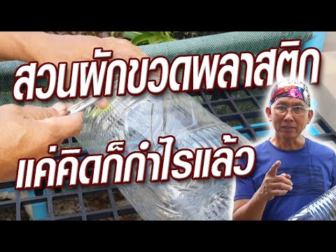 ปลูกผักในขวดพลาสติก กระถางปลูกผัก DIY ใช้ที่น้อย ลดขยะ ลดต้นทุน @ครูสวัสดิ์พาทํา ทําไปเรื่อย