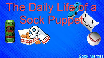 The Daily Life of a Sock Puppet