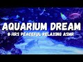 Sea Aquarium: Underwater asmr, The Most Relaxing Thing You'll Hear All Day, Dream Aquarium