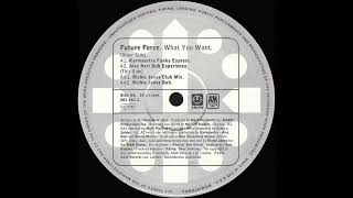 Future Force - What You Want (1996)