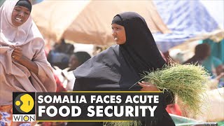Impact of drought in Somalia exacerbated by Ukraine war | WION Climate Tracker