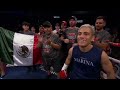 Elwin soto mex vs hekkie budler south africa 4k