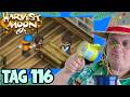 KATZEN gucken aus dem Fenster - Harvest Moon 64 #116