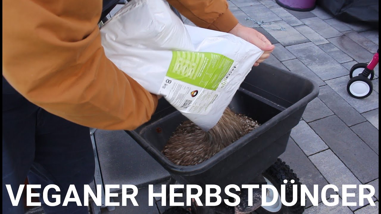 Veganer Herbstdünger für den Rasen YouTube
