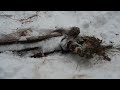 Металокоп на УЖД.