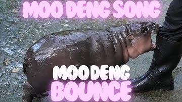 Moo Deng Song - Moo Deng Bounce 🐾 | Viral Hippo Anthem! 🦛🎶 #MooDeng #music #animals #cutepets #pets