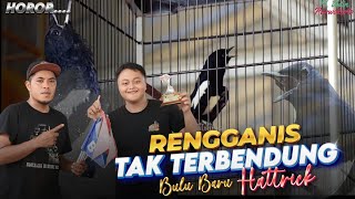 BULU BARU KACER RENGGANIS TAK TERBENDUNG BENDUNGAN ( Hattrick )