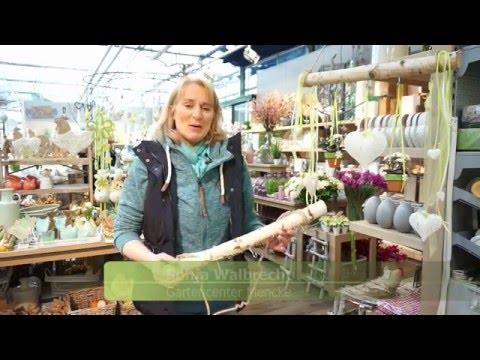 Individuelle fensterdekoration mit birkenstämmen youtube