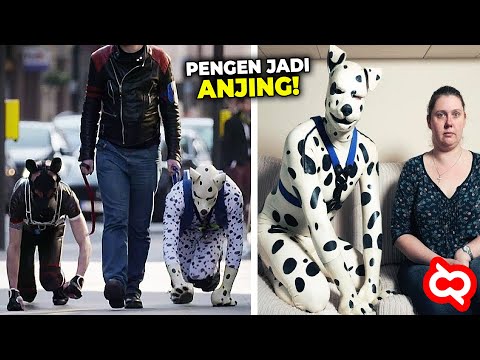 Video: Ingin Anakmu Menjadi Manusia yang Baik? Bring Out The Dog.