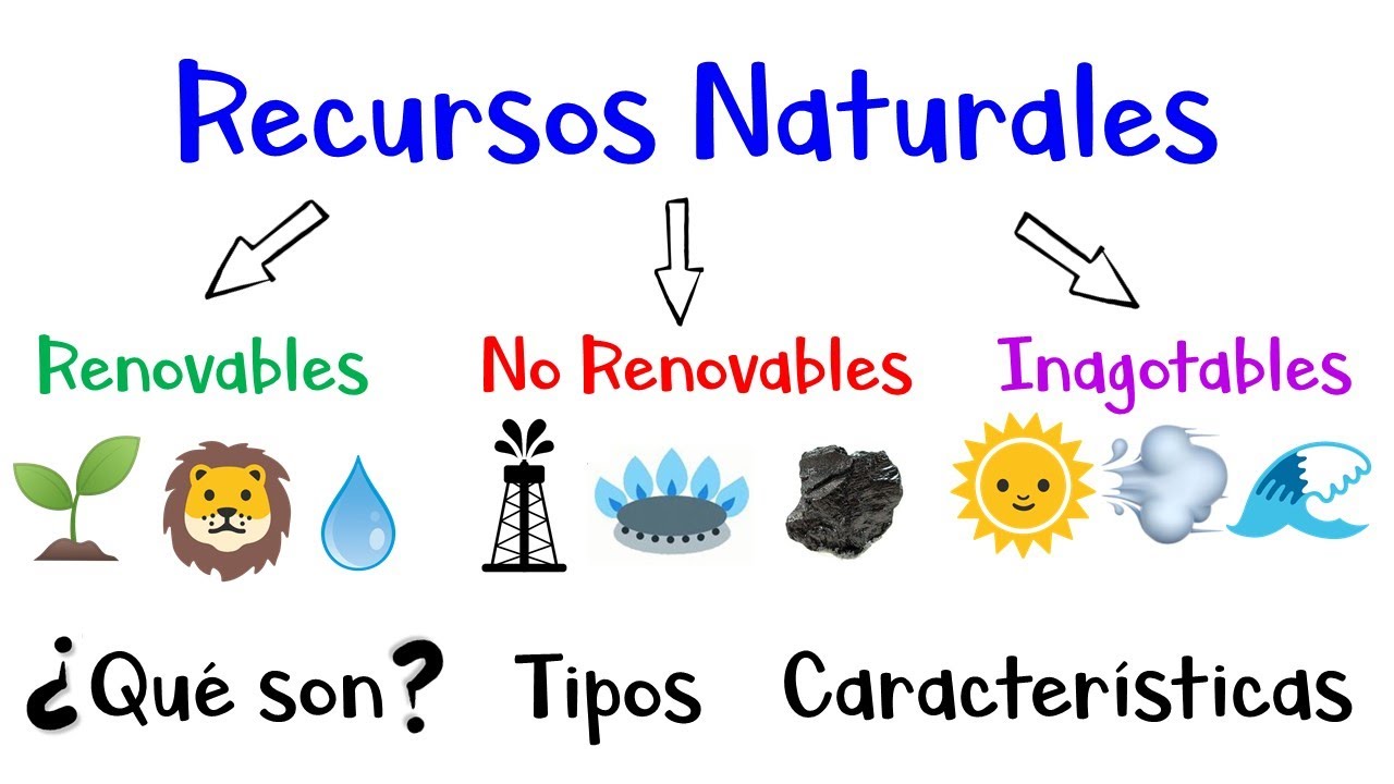 🌳 Recursos Naturales: Renovables, No Renovables, Inagotables 🌞 Ejemplos  [Fácil y Rápido] - thptnganamst.edu.vn