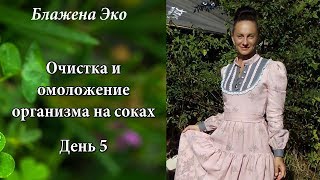 Очищение и омоложение организма на соках. День 5 Очищение и омоложение организма на соках. День 5