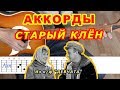 СТАРЫЙ КЛЕН Аккорды 🎸 ДЕВЧАТА ♪ Разбор песни на гитаре ♫ Бой Текст