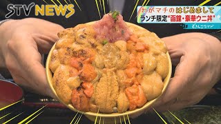 【豪華】北海道５大ウニ食べ比べ　丼で夢の競演　函館の居酒屋が始めた３時間限定のウニ専門店