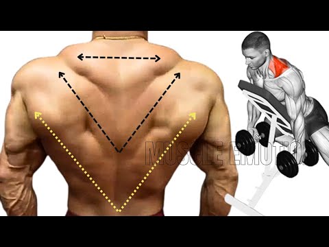 5 BEST BACK EXERCISES TO GET BIGGER BACK FAST / MUSCULATION DOS RÉSULTAT RAPIDE